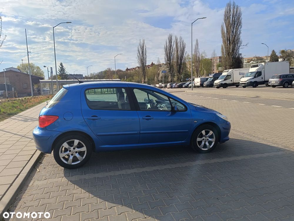 Peugeot 307 1.6 - 7