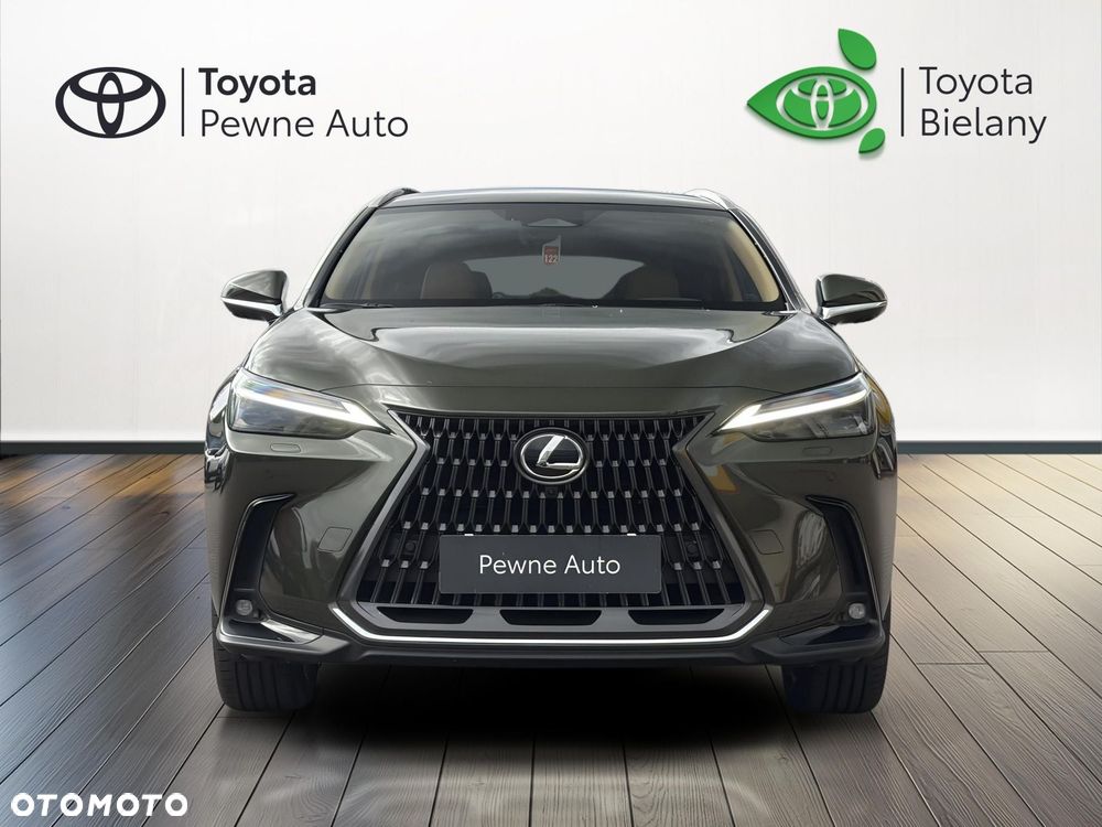 Lexus NX - 8