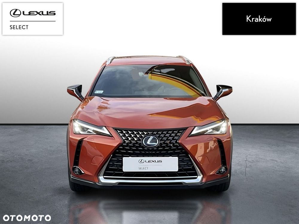 Lexus UX 250h GPF Business Edition 2WD - 8