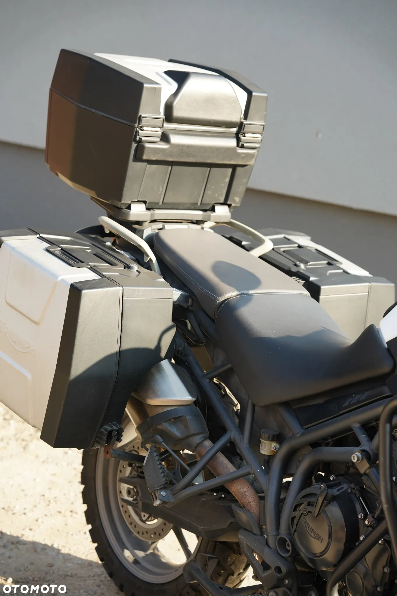 Triumph Tiger - 31