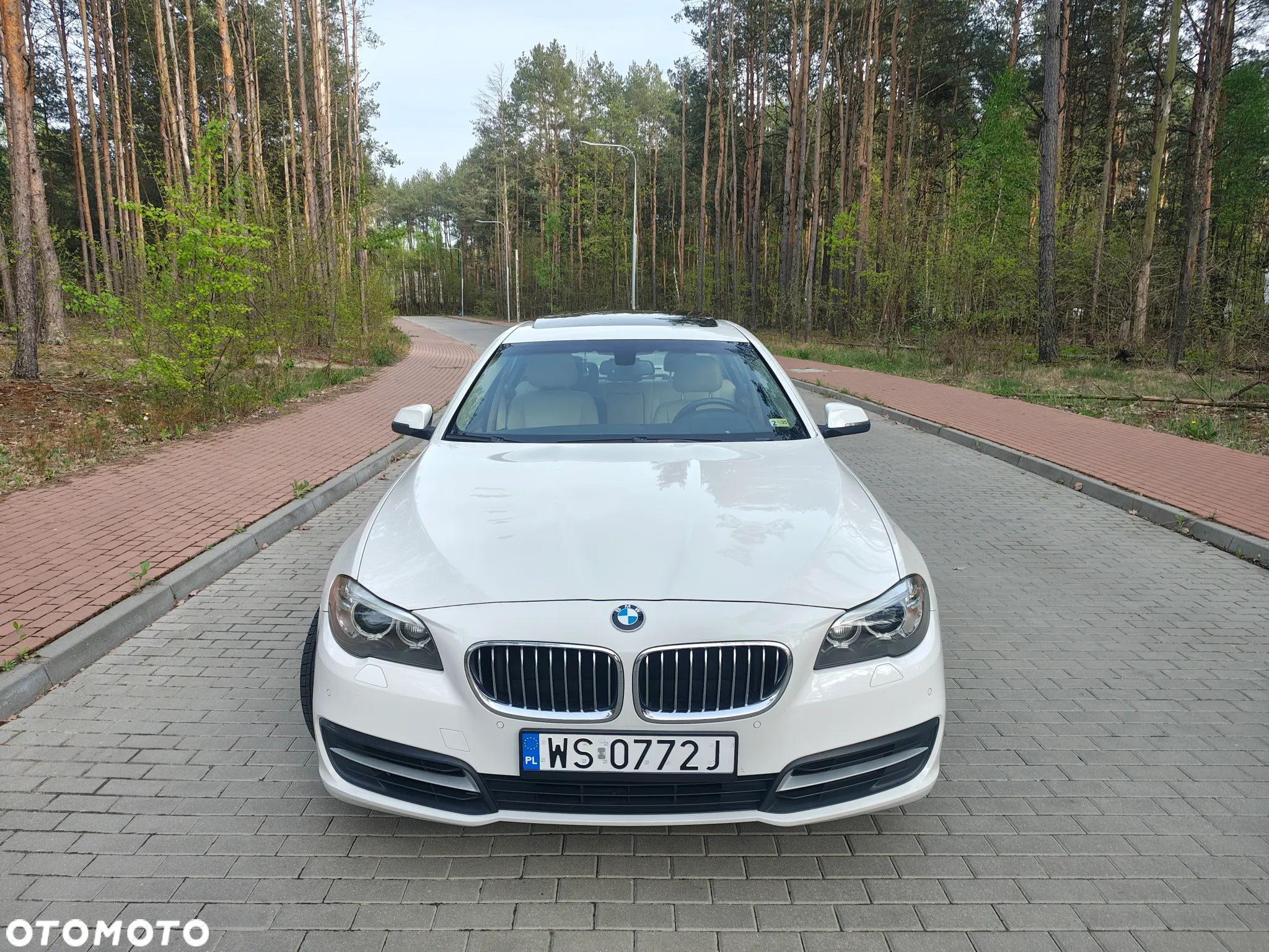 BMW Seria 5 - 1