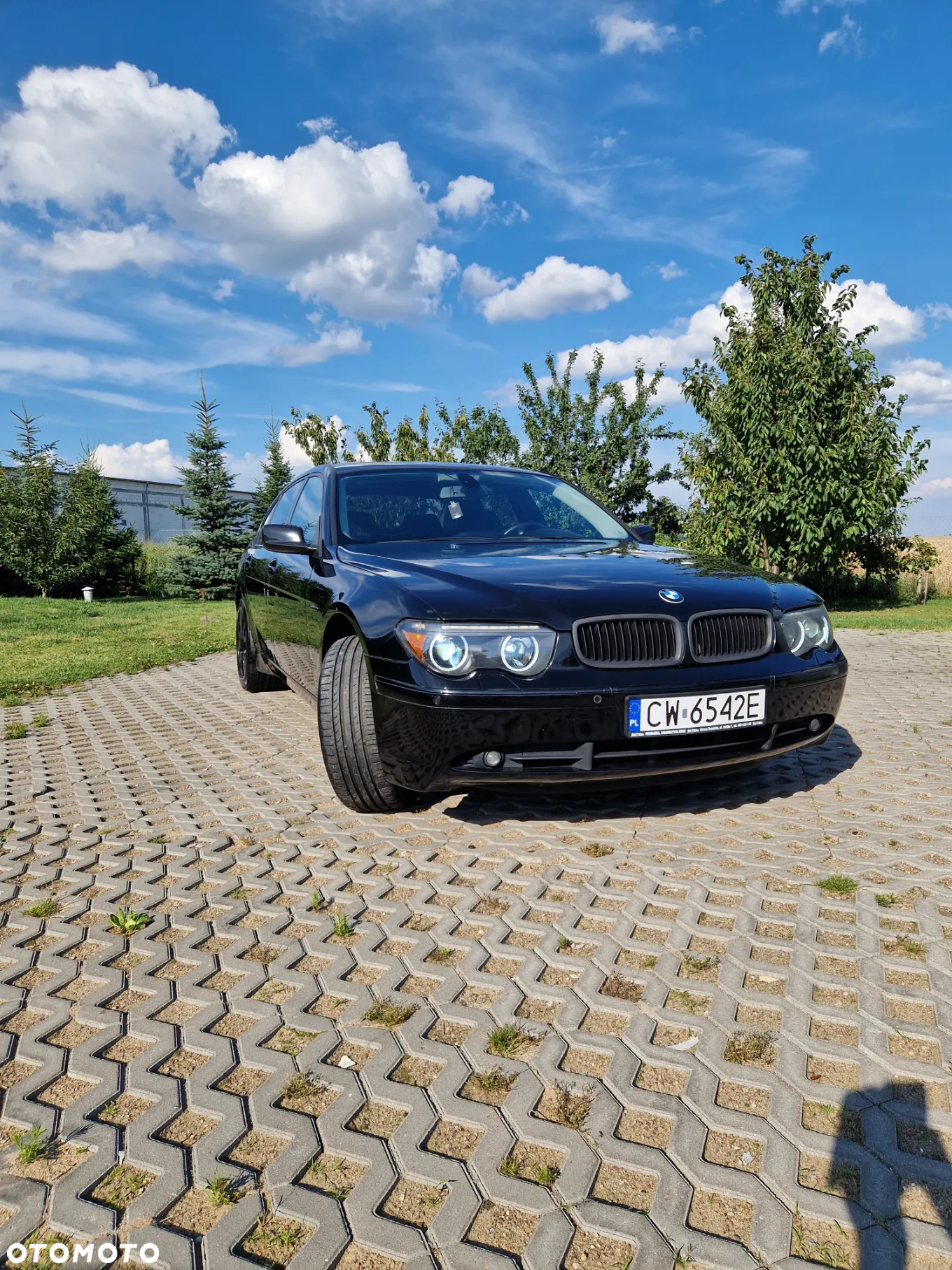BMW Seria 7 745i L - 17