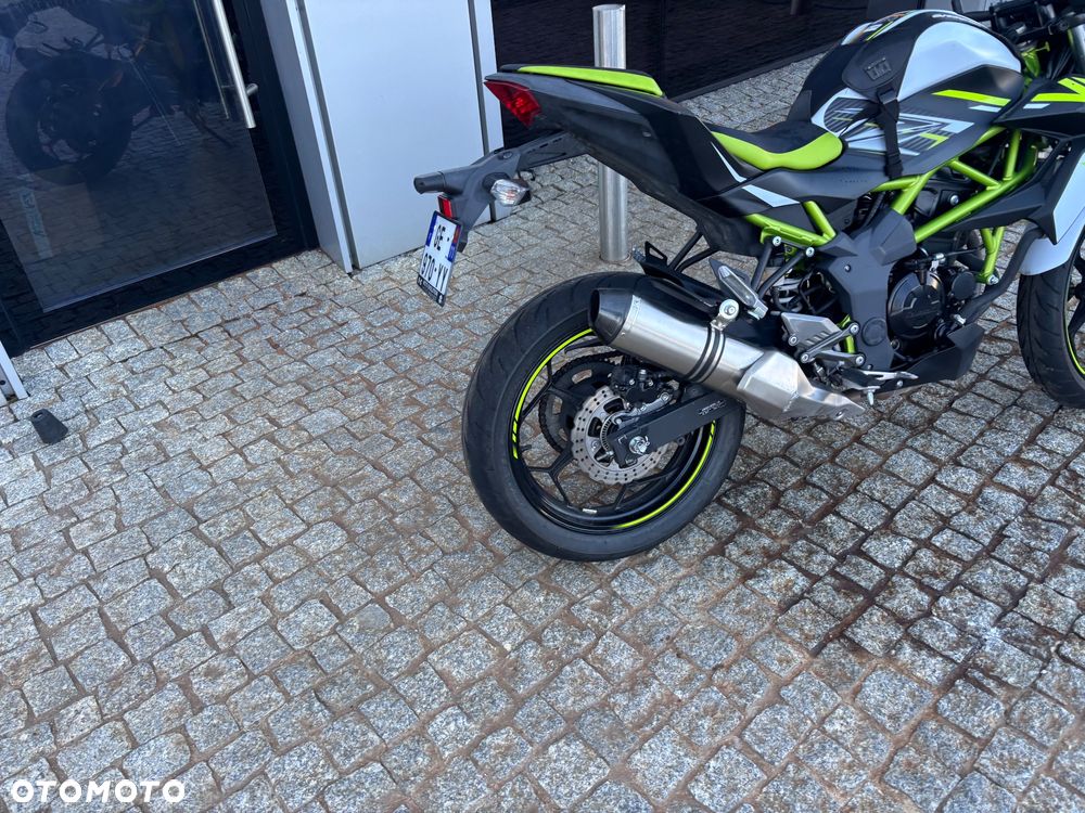 Kawasaki Z - 6