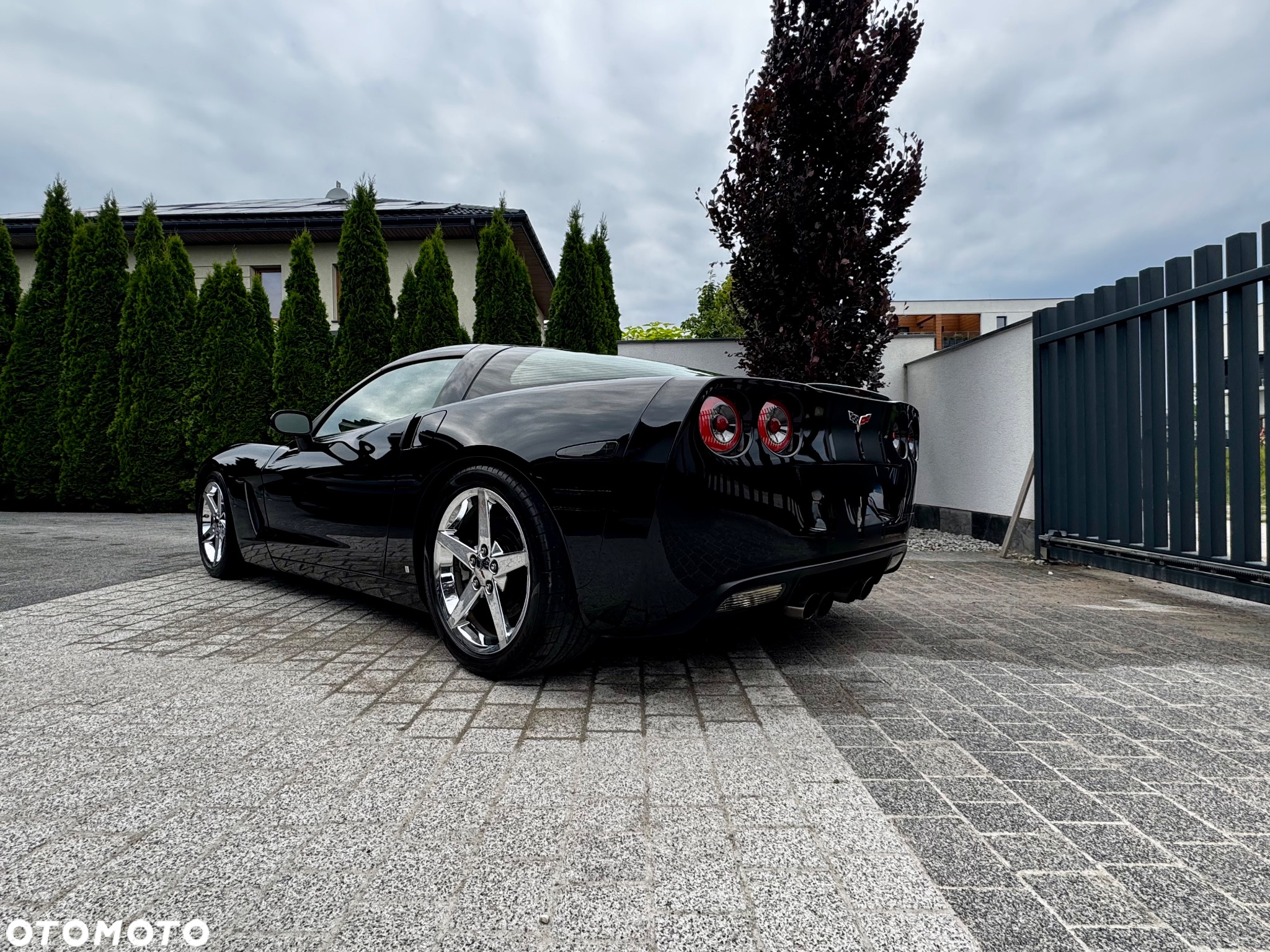 Chevrolet Corvette - 6