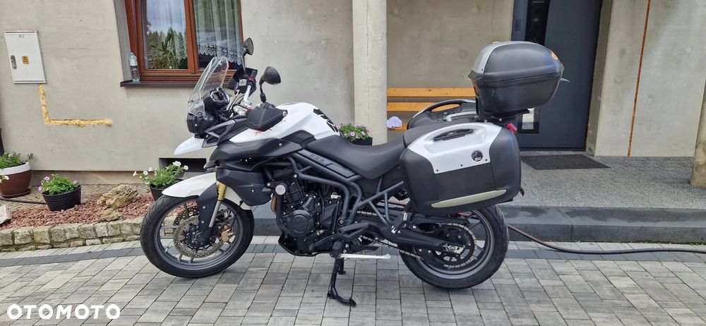 Triumph Tiger - 4