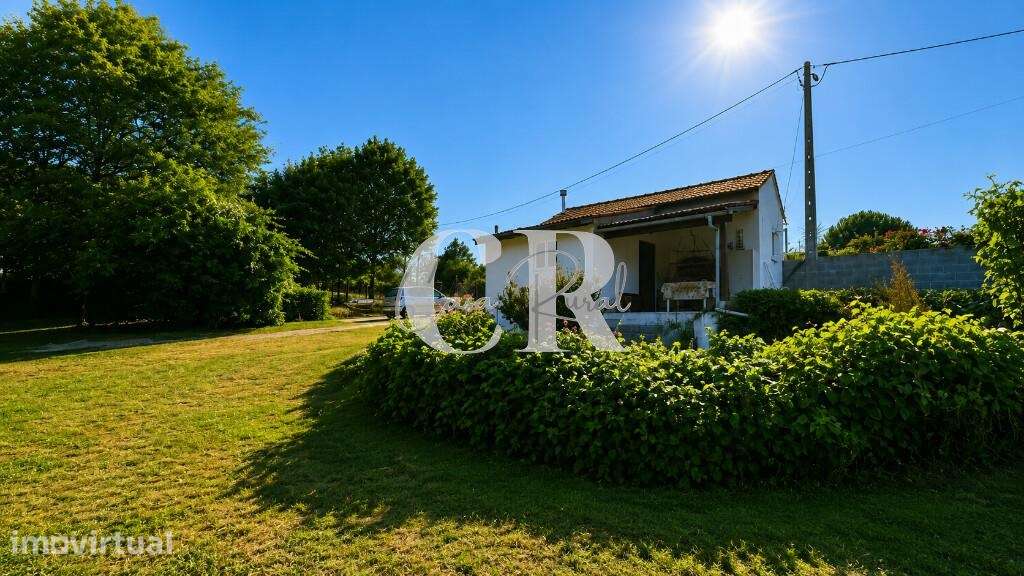 Pequeno paraíso rural com moradia T1 pronta a habitar, terreno generos - Grande imagem: 3/34