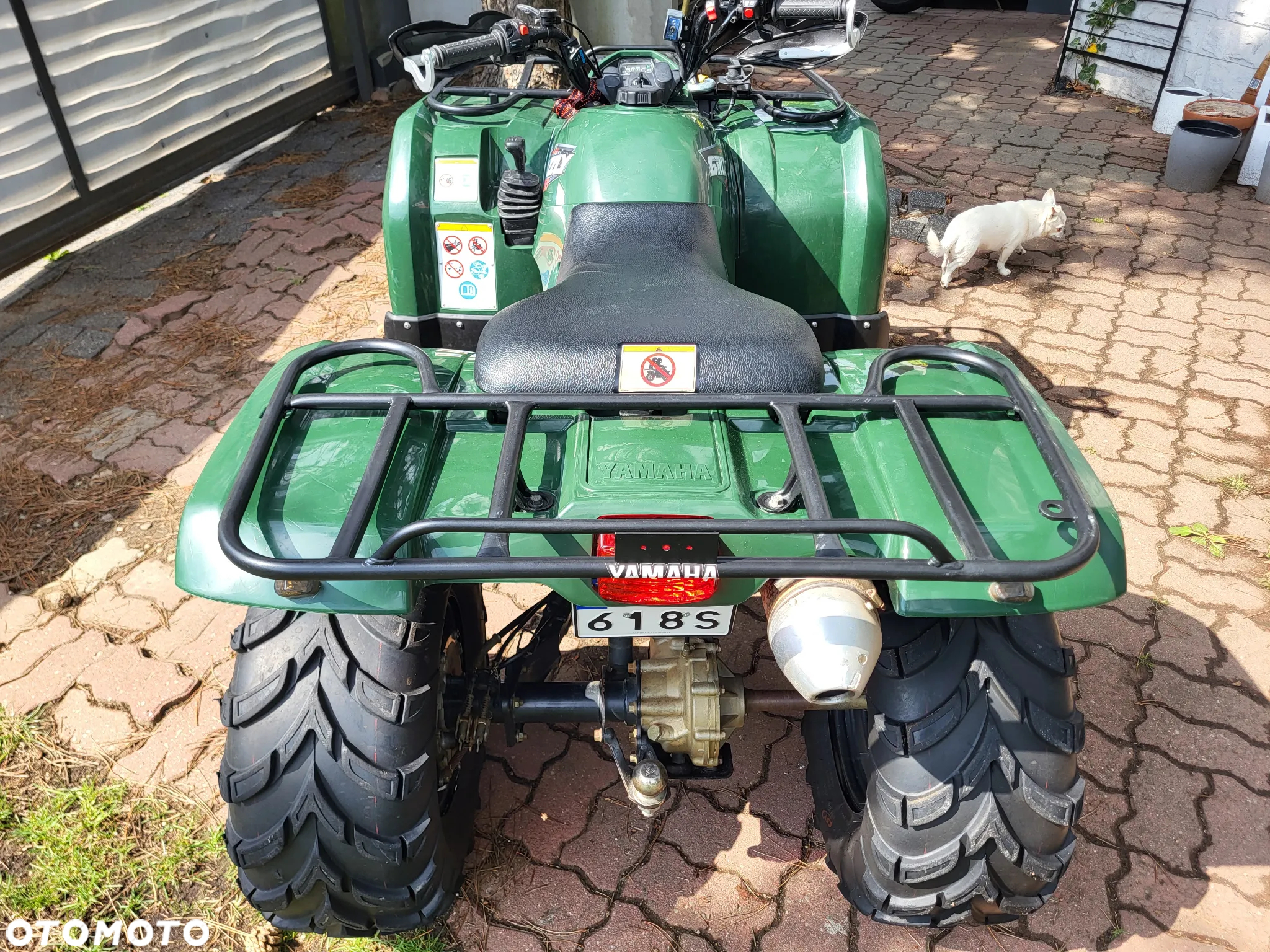 Yamaha Grizzly