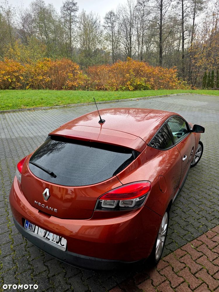Renault Megane - 19