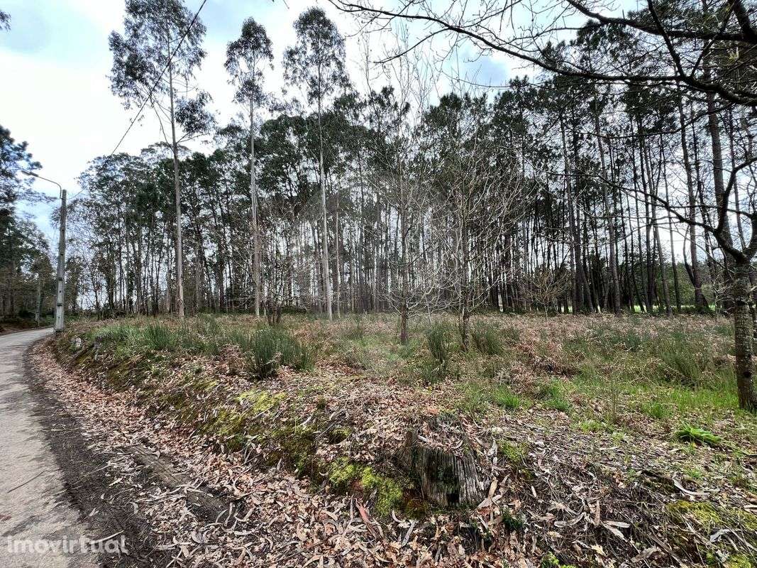 Terreno  para venda - Grande imagem: 4/12