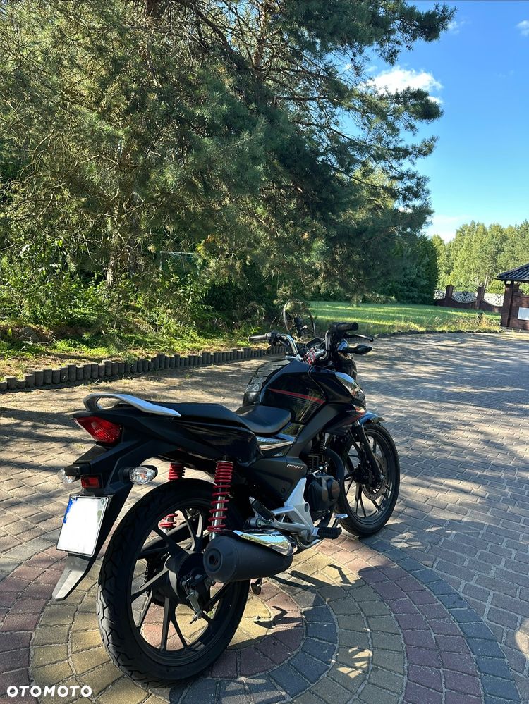 Honda CBF - 5
