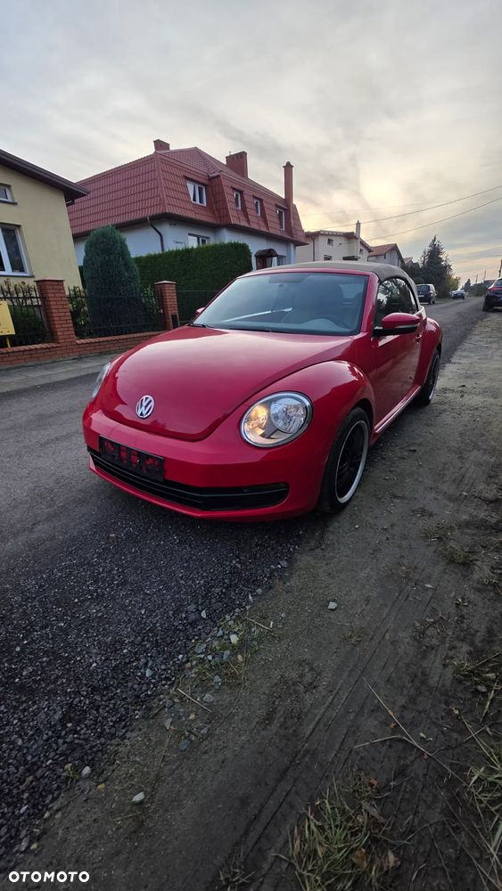 Volkswagen Beetle - 17