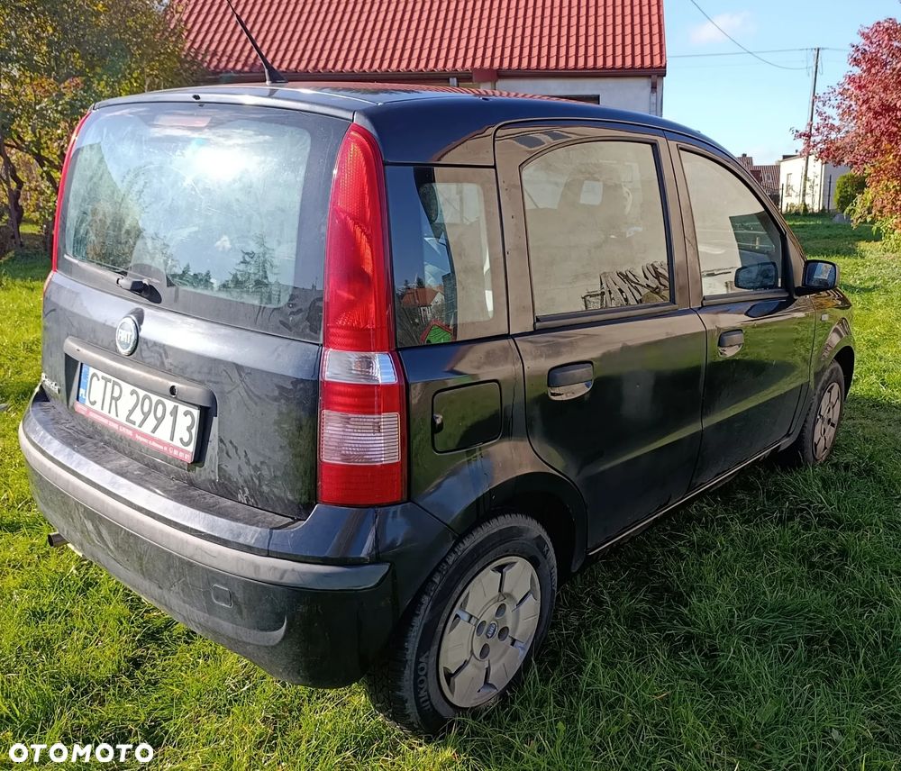 Fiat Panda - 2