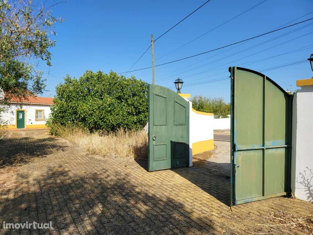 Quinta T2, com 11.000 m2, perto de Avis - Grande imagem: 3/43