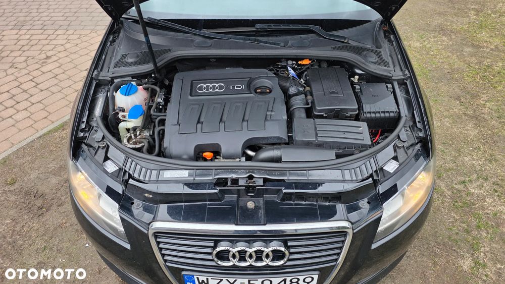 Audi A3 3-drzwiowe 1.6 TDI DPF Attraction - 24