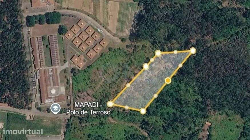 Bouça em Terroso com 4661 m2 - Grande imagem: 4/5