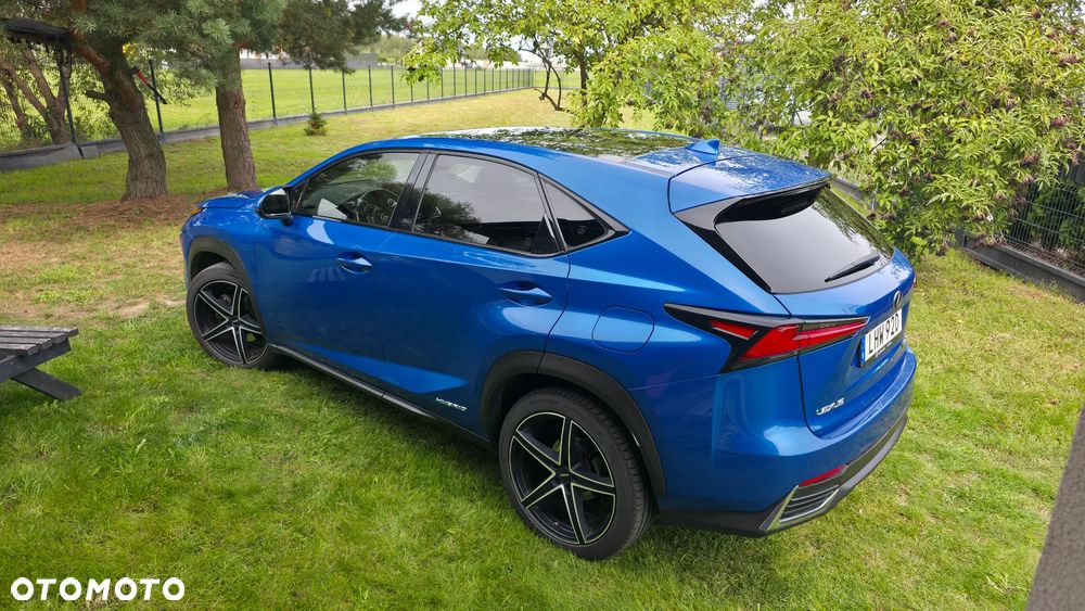 Lexus NX 300h Omotenashi AWD - 1