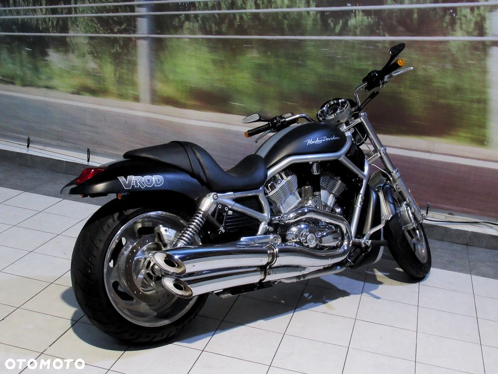 Harley-Davidson Softail V-Rod - 8