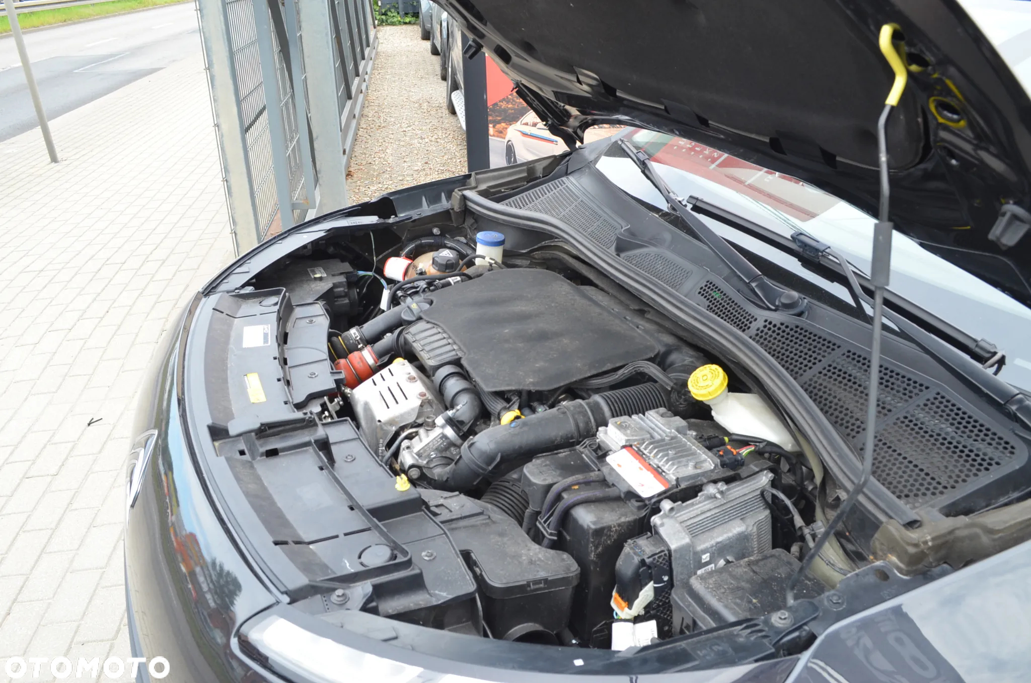 Citroën C4 Cactus 1.2 PureTech Shine S&S - 21