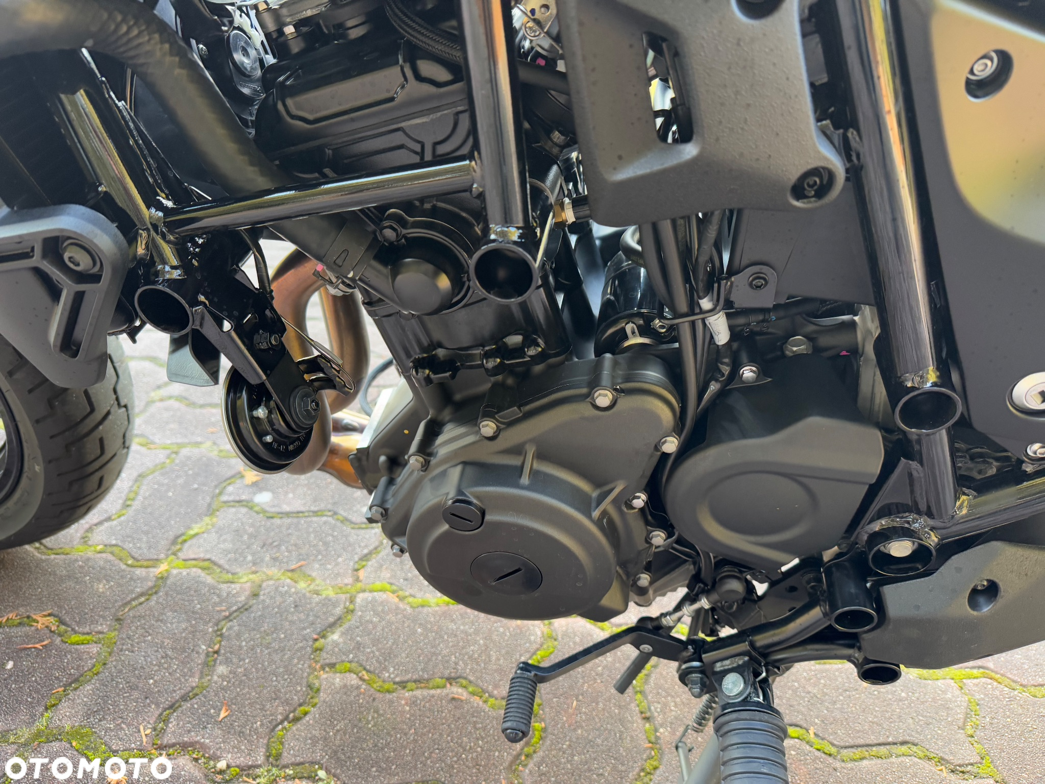 Kawasaki Eliminator 500 - 16
