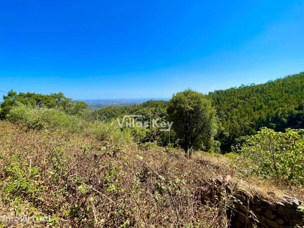 Terreno com vista mar - Grande imagem: 4/18