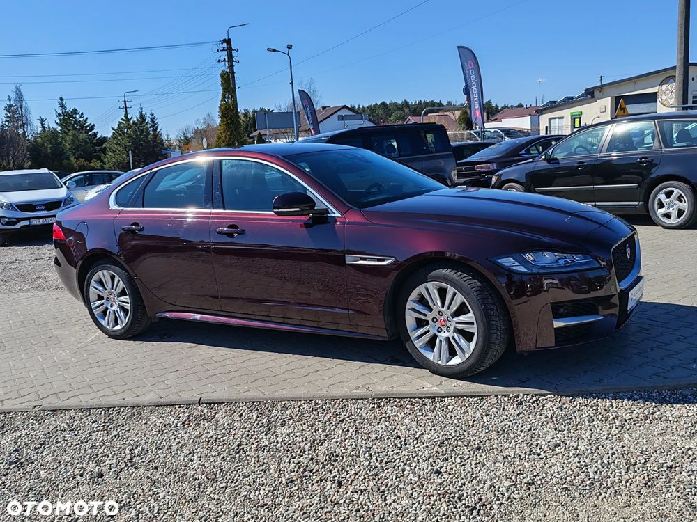 Jaguar XF E-Performance Pure - 10