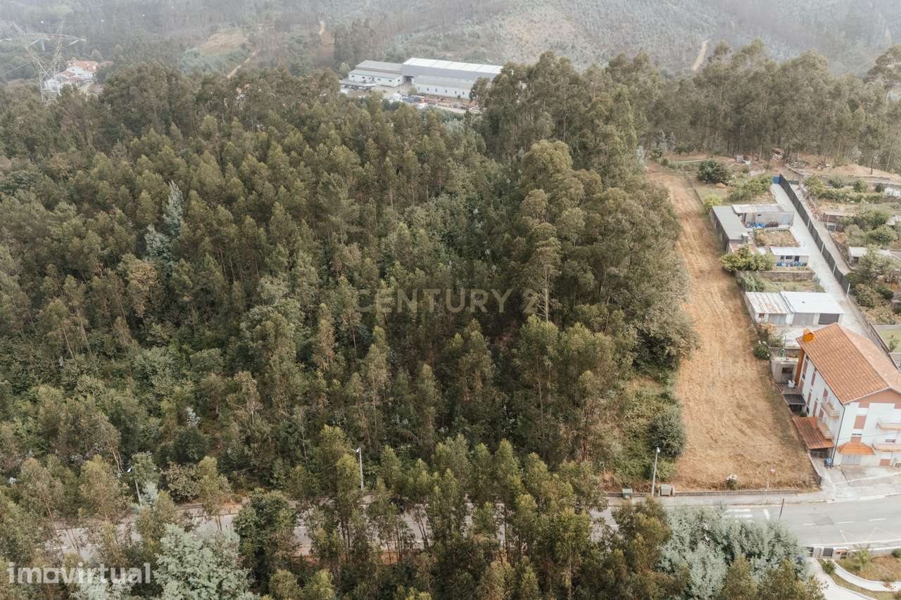 Terreno Misto Residencial e Florestal - Medas, Gondomar - Grande imagem: 2/6