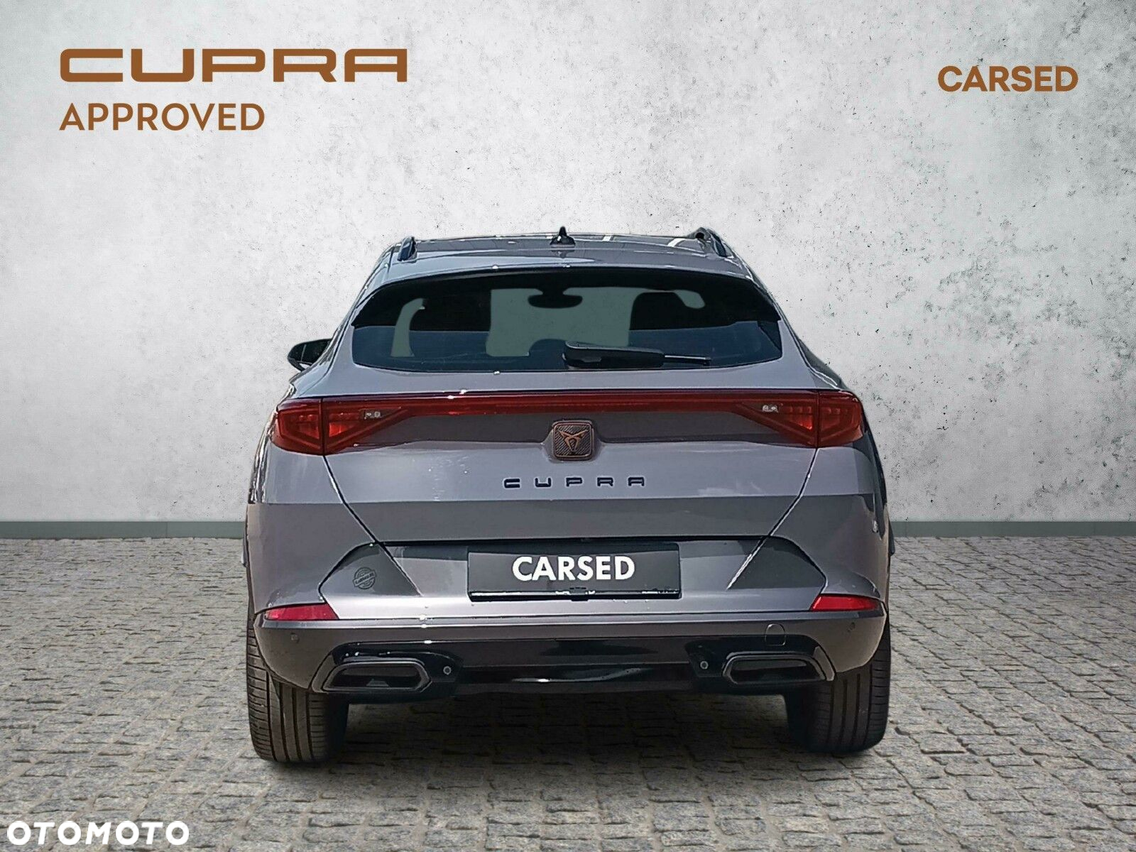Cupra Formentor 2.0 TSI 4Drive DSG - 4