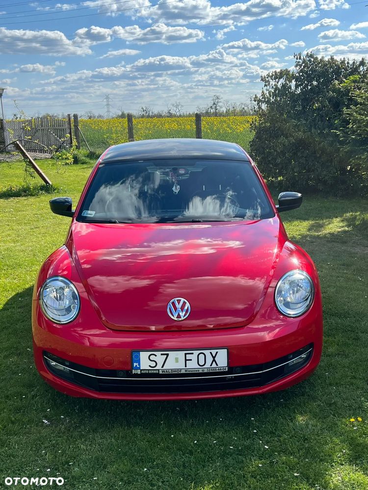 Volkswagen Beetle - 3