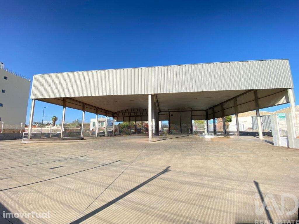 Armazém em Pechão de 1850,00 m2 - Grande imagem: 3/30