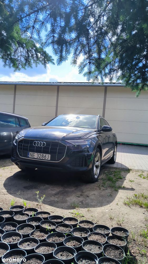 Audi Q8 - 1