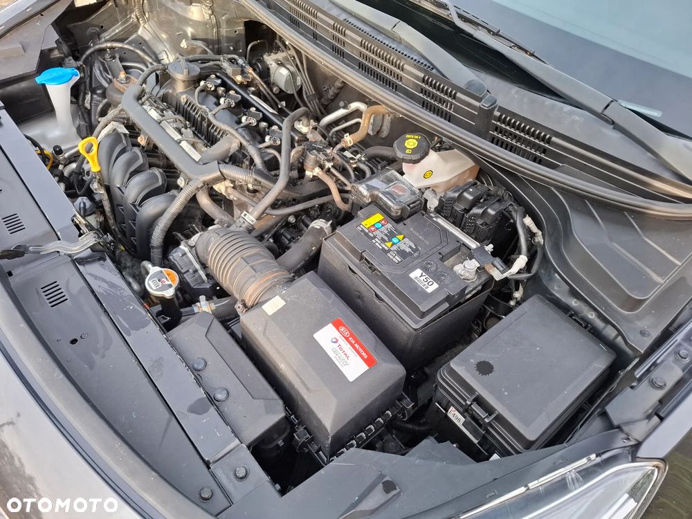 Kia Rio - 23