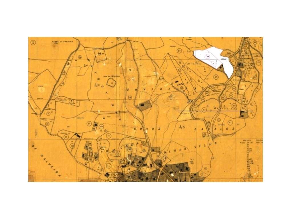 Terreno Rùstico URBANIZAVEL, localizado em Venda do Pinheiro - Urba... - Grande imagem: 5/7