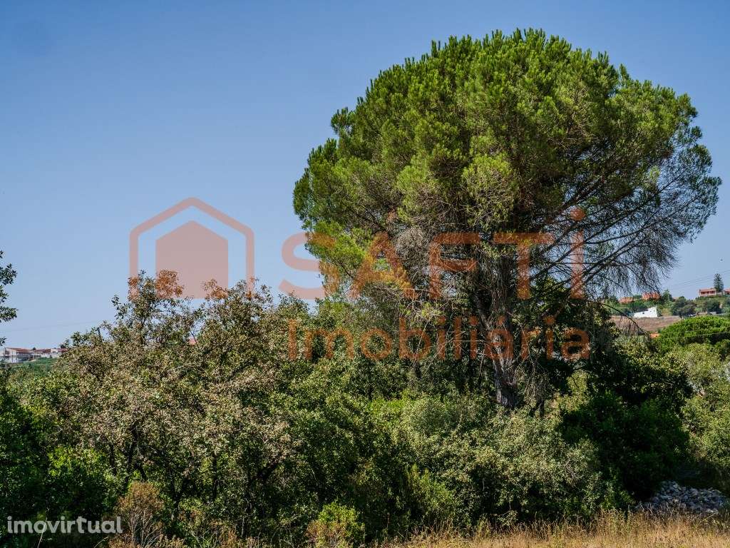 Terreno para construção - Grande imagem: 3/17