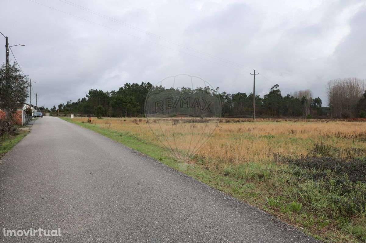 Terreno  para venda - Grande imagem: 3/4