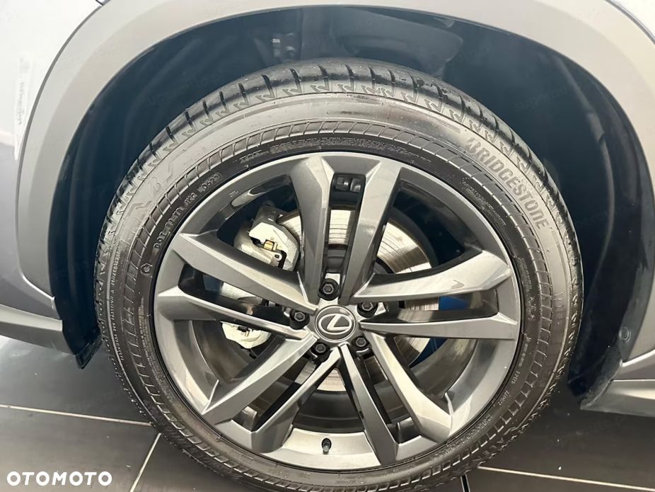 Lexus NX - 13