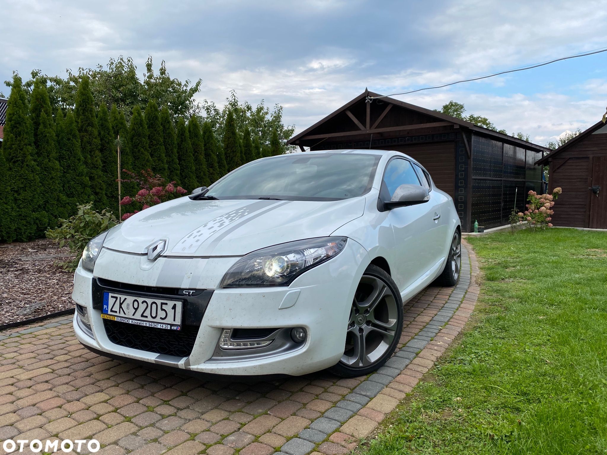 Renault Megane - 1