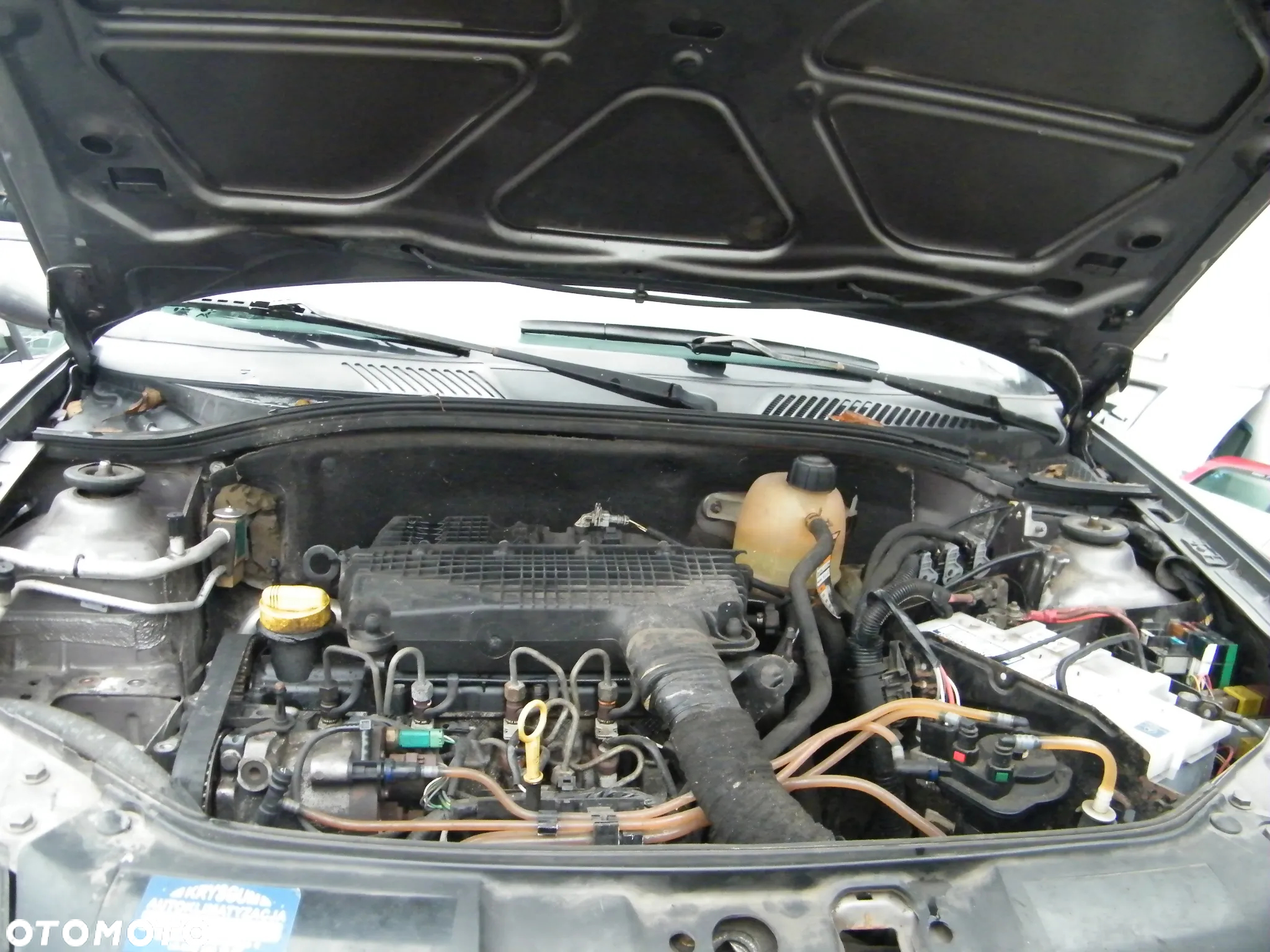 Renault Clio II 1.5 DCI 65KM silnik K9K704 skrzynia JB3980 lakier NV603 - 6