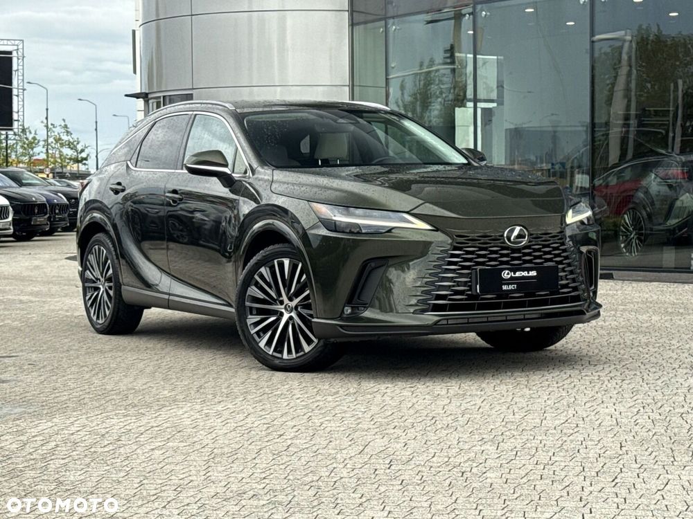 Lexus RX - 24