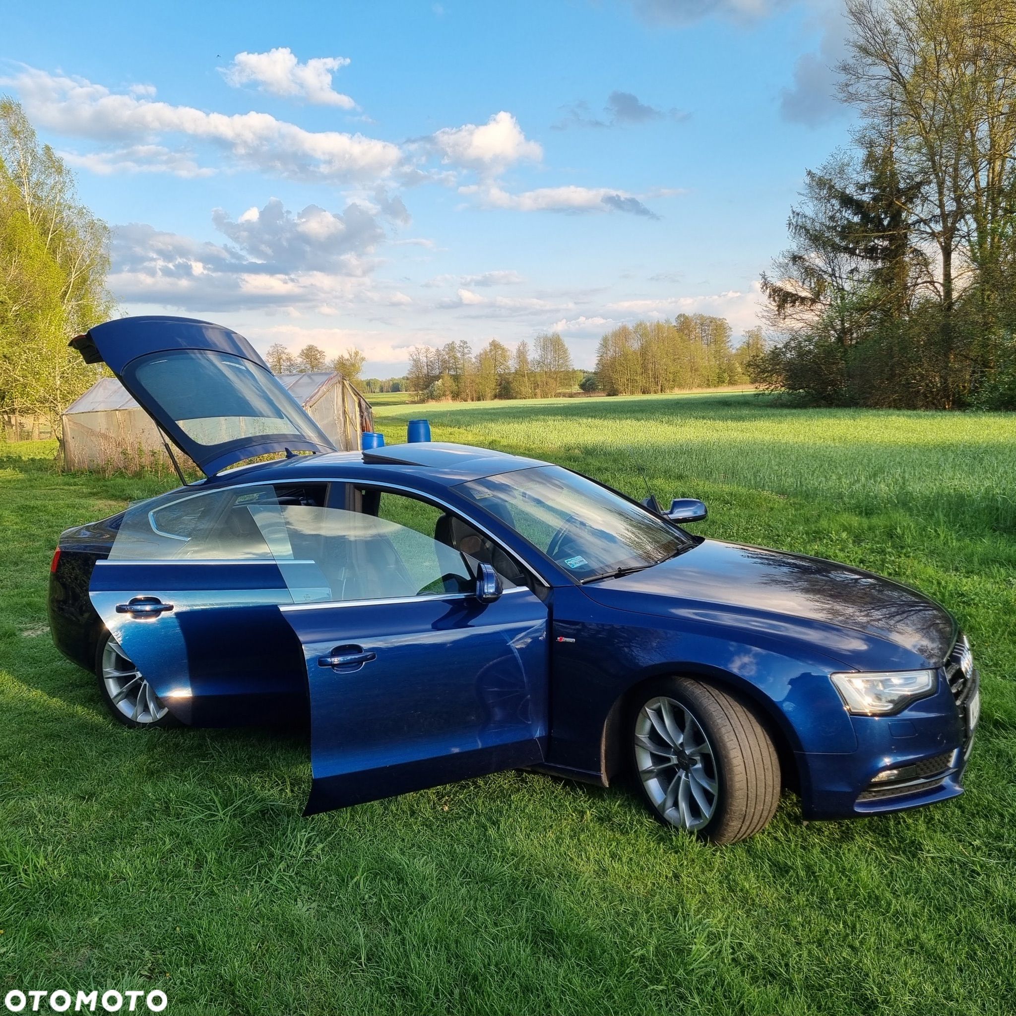 Audi A5 2.0 TDI Quattro S tronic - 1