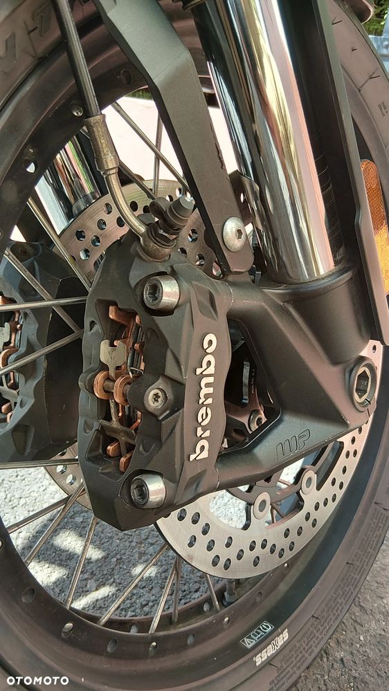 Triumph Tiger - 30