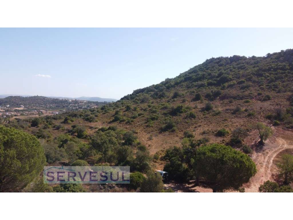 Terreno rústico com area total de 53080 m2, localizado junto à Alde... - Grande imagem: 2/14