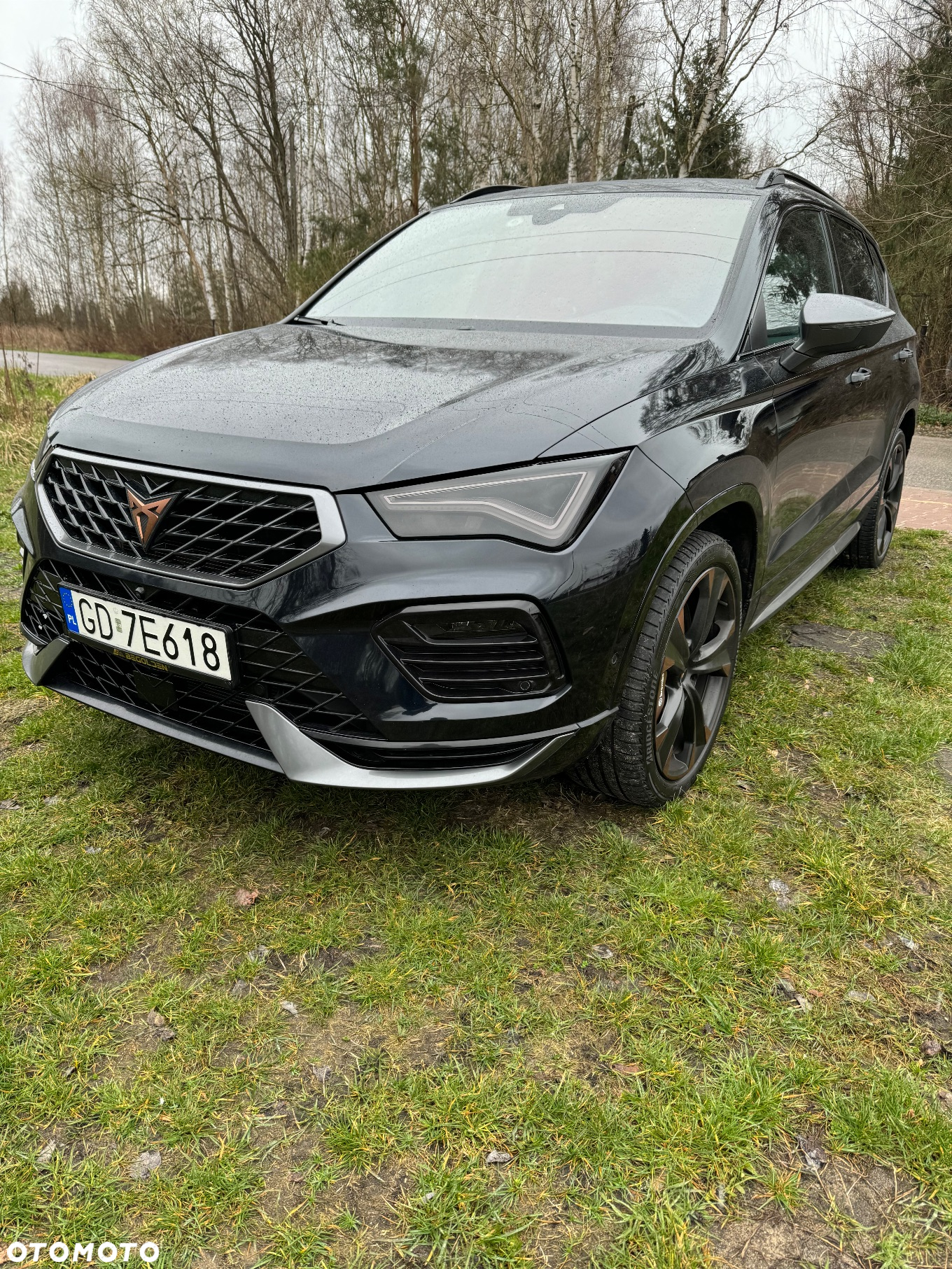 Cupra Ateca - 14