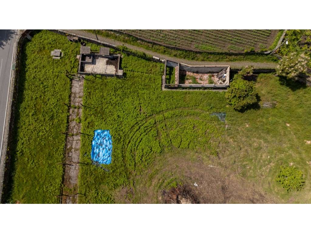 Quinta de Referência próxima da Autoestrada - Grande imagem: 5/13