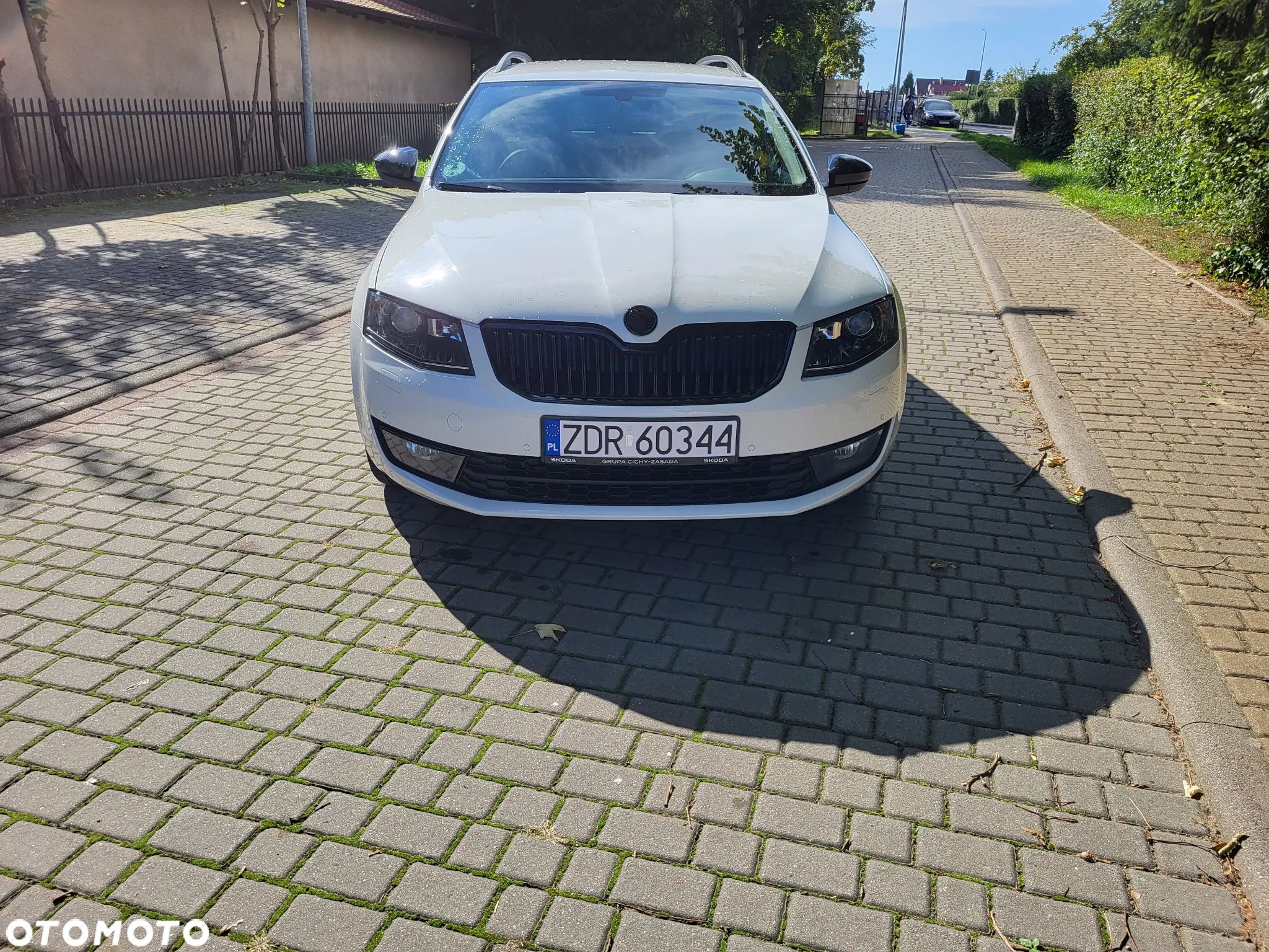 Skoda Octavia 2.0 TDI (Green tec) DSG Ambition - 1