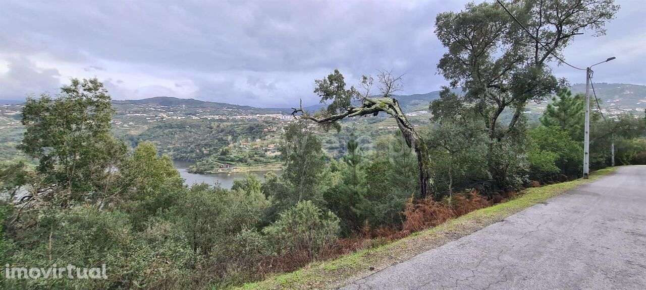 Quinta / Baião, Rio Douro - Grande imagem: 4/6