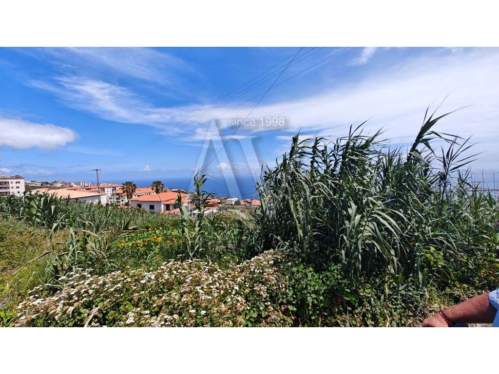 Terreno rústico - Barreiros, Caniço - SANTA CRUZ - MADEIRA | LEILÃO... - Grande imagem: 3/3