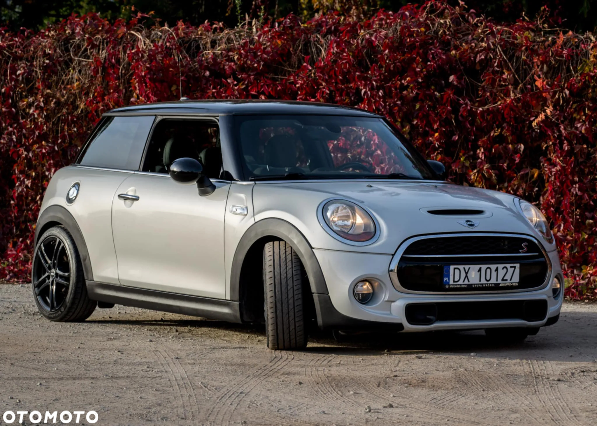 MINI Cooper S - 3
