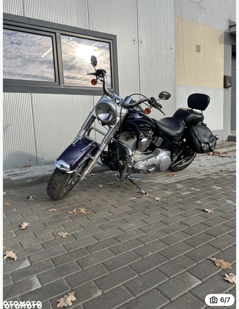 Harley-Davidson Sportster Custom 883C - 6