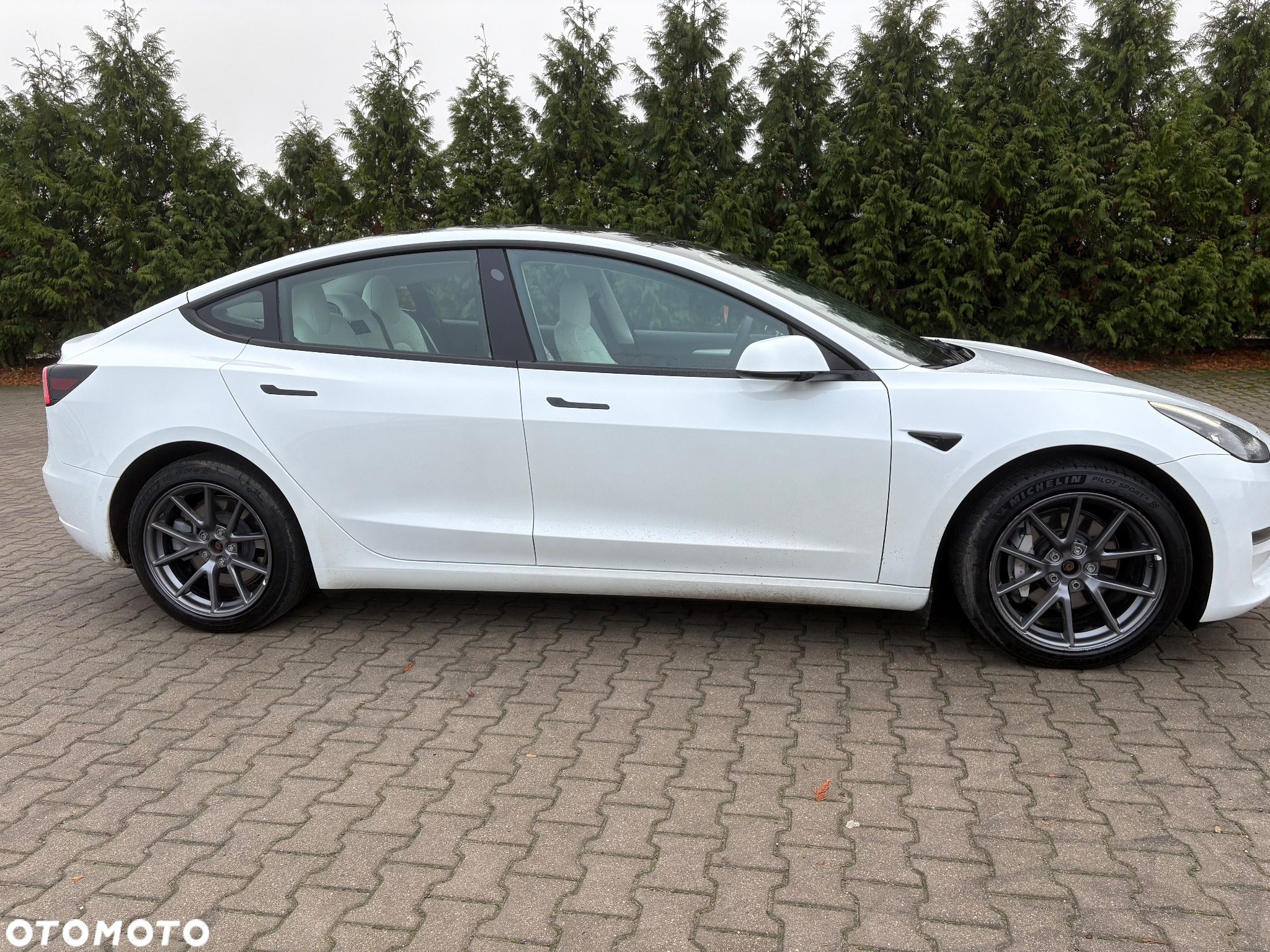 Tesla Model 3 Performance AWD - 6