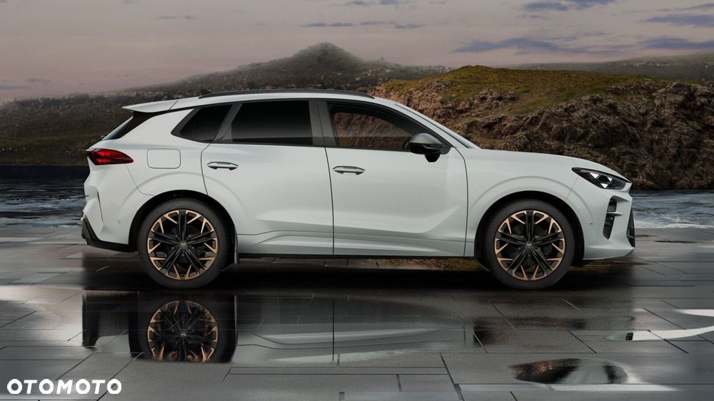 Cupra Terramar 2.0 TSI 4Drive DSG - 6